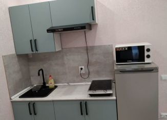 Сдам квартиру студию, 21 м2, Санкт-Петербург, Парфёновская улица, 17, метро Балтийская
