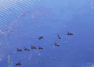 Продаю 2-комнатную квартиру, 58.6 м2, Биробиджан, Пионерская улица, 75