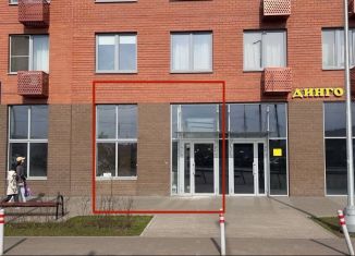 Сдаю помещение свободного назначения, 20 м2, посёлок городского типа Томилино, микрорайон Птицефабрика, 35к1