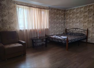 Сдается в аренду дом, 35 м2, Сочи, улица Чайкиной, 17, микрорайон Соболевка