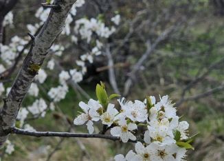 Продажа земельного участка, 6 сот., Ставрополь, садовое товарищество Химреактив, 154, микрорайон № 12