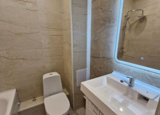 Продам 1-ком. квартиру, 33 м2, посёлок Шушары, Вилеровский переулок, 8, ЖК Шушары 463