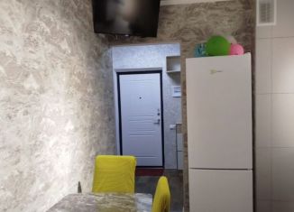 Аренда 1-комнатной квартиры, 40 м2, село Белоглинка, Парковая улица, 2к2