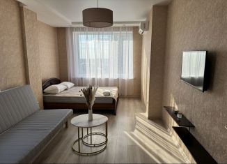 Сдается 1-комнатная квартира, 48 м2, Аксай, улица Мира, 1А