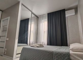 Сдаю в аренду квартиру студию, 28 м2, Сочи, Фермерский переулок, 7