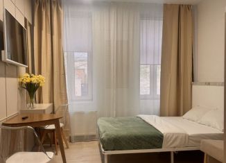 Сдам квартиру студию, 25 м2, Санкт-Петербург, улица Черняховского, 56, муниципальный округ Лиговка-Ямская