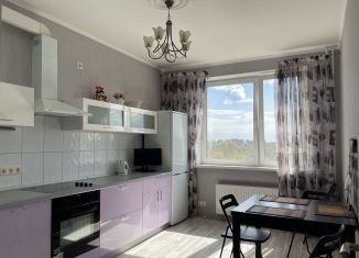 Сдаю 2-комнатную квартиру, 61.4 м2, Санкт-Петербург, улица Матроса Железняка, 57, метро Пионерская
