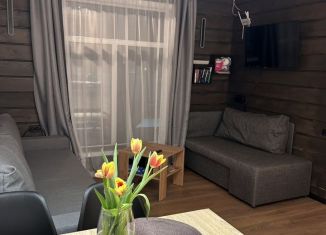 Сдам в аренду дом, 70 м2, деревня Раздолье