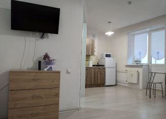 Сдам квартиру студию, 27.5 м2, Ярославль, Спасская улица, 2, Дзержинский район