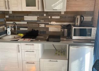 Сдаю дом, 36 м2, село Турбаза Катунь, улица Романтиков, 14А