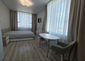 Сдам квартиру студию, 30 м2, Екатеринбург, улица Фрунзе, 31, метро Геологическая
