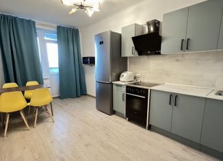 Сдается однокомнатная квартира, 44 м2, Мурино, проспект Авиаторов Балтики