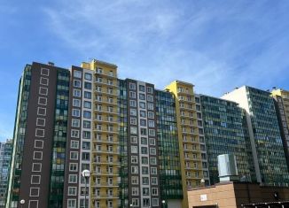 Продажа квартиры студии, 24.5 м2, Мурино, Графская улица, 8, ЖК Гринландия-2