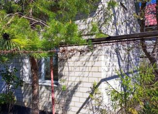 Продам дачу, 64 м2, посёлок городского типа Молодёжное, Ягодная улица