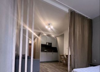 Квартира на продажу студия, 16.9 м2, Москва, улица Юных Ленинцев, 49, ЮВАО