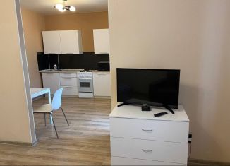 Сдаю в аренду квартиру студию, 41.6 м2, Екатеринбург, улица Циолковского, 29, ЖК Времена Года
