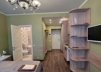 Сдам квартиру студию, 25 м2, Санкт-Петербург, Гражданская улица, 9