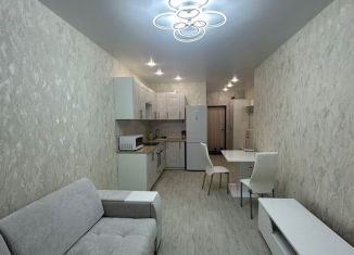 Сдается в аренду 3-комнатная квартира, 64 м2, Тула, улица Академика Насоновой, 9Б