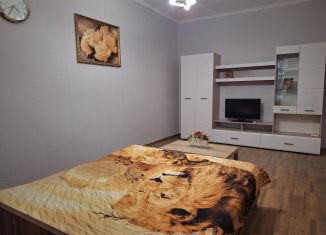 Сдам 1-комнатную квартиру, 39 м2, Краснодар, Железнодорожная улица, 20