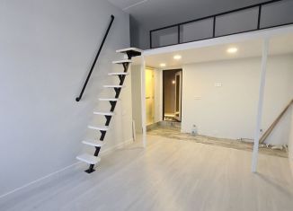 Продается квартира студия, 16 м2, Санкт-Петербург, Кузнечный переулок, 14А, муниципальный округ Владимирский