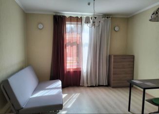 Квартира в аренду студия, 28 м2, Сертолово, Тихвинская улица, 8к6
