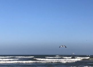 Однокомнатная квартира в аренду, 50 м2, Махачкала, улица Тулпара Мусалаева, 16, ЖК Лазурный Берег