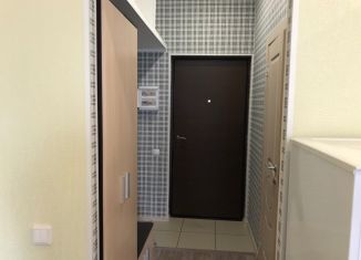 Сдается 1-ком. квартира, 30 м2, Барнаул, Тимуровская улица, 25