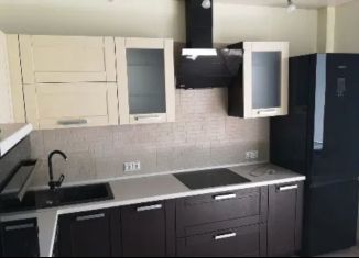 Сдача в аренду 2-комнатной квартиры, 56 м2, Ленинградская область, улица Слепнёва, 17