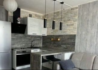 Сдача в аренду квартиры студии, 30 м2, Екатеринбург, ЖК Тихий Берег-2, Рощинская улица, 39Б