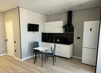 Сдаю в аренду квартиру студию, 26 м2, Краснодар, улица Наставников, 10