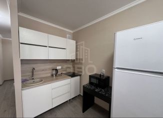 Аренда 2-ком. квартиры, 45 м2, посёлок Парголово, улица Шишкина, 303к1