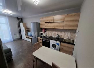 Сдам в аренду квартиру студию, 24 м2, Новосибирск, улица Забалуева, 90