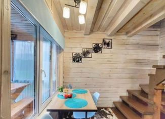 Сдается в аренду коттедж, 40 м2, Республика Алтай, Родничная улица, 24А