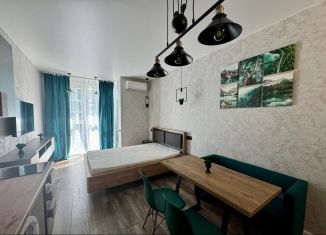 Квартира на продажу студия, 24.1 м2, Сочи, Ясногорская улица, 16/6к3, микрорайон Бытха