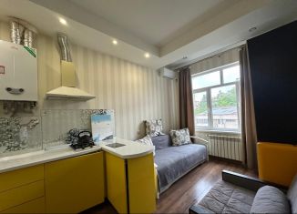 Сдаю в аренду квартиру студию, 19.1 м2, Сочи, переулок Чехова, 8, ЖК Янтарный