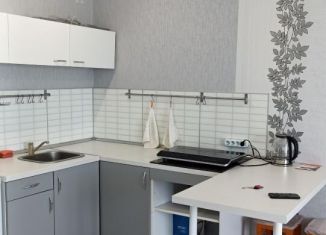 Сдам в аренду квартиру студию, 33 м2, Новосибирск, Плющихинская улица, 10