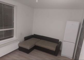 Продается квартира студия, 20.9 м2, городской посёлок Новоселье, Центральная улица, 10к2, ЖК Эпсилон