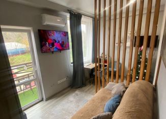 Продаю квартиру студию, 26.9 м2, село Орёл-Изумруд, Банановая улица, 1/1