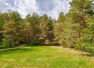 Продается земельный участок, 24 сот., деревня Шульгино, Лесная улица, 17А