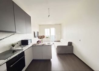 1-ком. квартира на продажу, 40 м2, Санкт-Петербург, Среднерогатская улица, 13к1, ЖК Триумф Парк