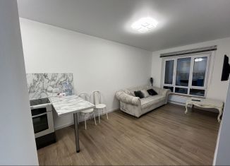 1-ком. квартира в аренду, 37 м2, деревня Хотицы, Загородная улица, 1