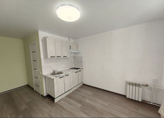 Продам квартиру студию, 12.3 м2, Новосибирск, улица Объединения, 39, метро Заельцовская