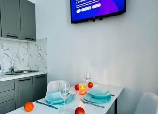 Продажа квартиры студии, 26.3 м2, Санкт-Петербург, Пулковское шоссе, 99к6, Пулковское шоссе