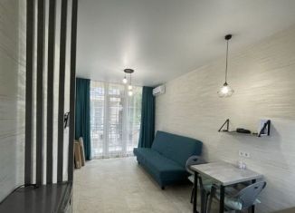 Сдаю в аренду квартиру студию, 24 м2, село Орёл-Изумруд, улица Лазурная Долина, 191А, ЖК Лазурная долина