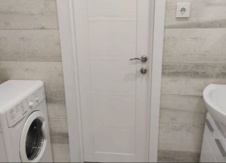 Аренда квартиры студии, 24 м2, Балашиха, улица Яганова, 8, ЖК Пехра