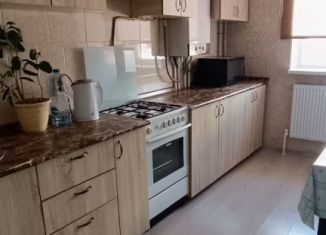 Однокомнатная квартира в аренду, 33 м2, поселок Верхнетемерницкий, Лунный переулок, ЖК Спутник