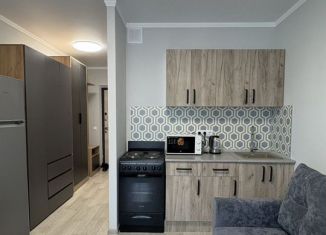 Сдается квартира студия, 25 м2, Ростов-на-Дону, проспект Солженицына, 13/2с1, ЖК Пятый Элемент