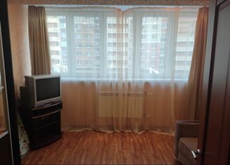 Сдам в аренду 2-ком. квартиру, 38 м2, деревня Павлино, деревня Павлино, 69