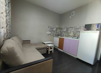 Сдается в аренду квартира студия, 22 м2, Екатеринбург, ЖК Тихий Берег-2, Рощинская улица, 27