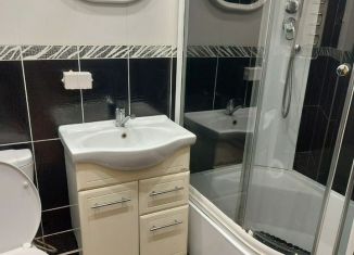 Сдается однокомнатная квартира, 45 м2, Республика Башкортостан, улица Шмидта, 41